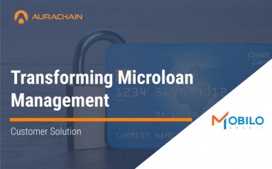 NFBI_Microloan_solutions_for_MobiloCredit