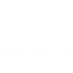 Aurachain_partner_leadingpoint